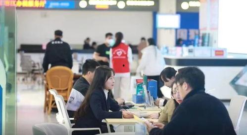 蓉江新区学生爆料案件最新,真相揭开，校园安全再引关注